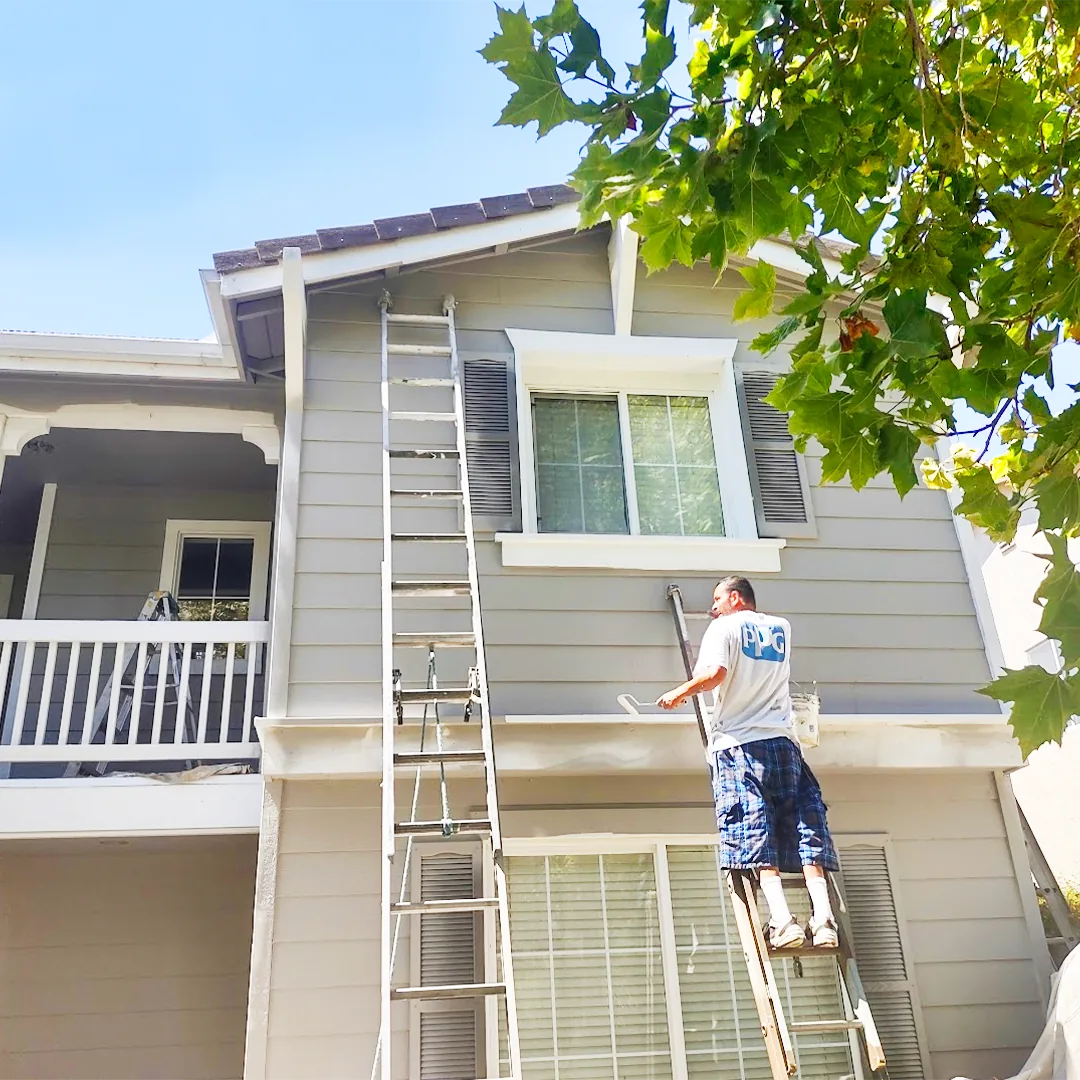 Eddie Navarro Painting commercial project